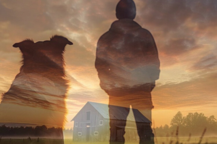 A graphic image of a shadow of a man and a dog imposed over an image of a barn and sunset.