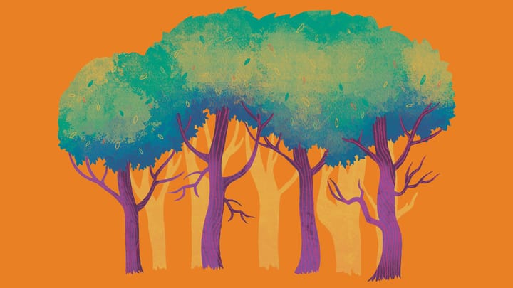 Wooden O: As You Like It